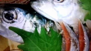 Zoom up zoom out 水族館に大量にいるあの魚。今日のお買い物。Japanese food