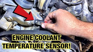 REMOVE ENGINE COOLANT TEMPERATURE SENSOR LOCATION 2011 TO 2018 CHRYSLER 300 DODGE CHARGER 5.7L V8