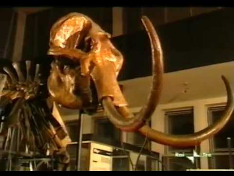 Ulisse: Homo Sapiens, la rivoluzione dell'intelligenza