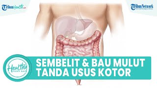 Sembelit hingga Napas Bau, Ini Tanda-tanda dan Gejala Usus Kotor yang Perlu Diwaspadai