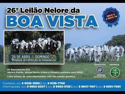 26°LEILÃO NELORE DA BOA VISTA - PIRANHAS - GO