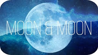~ Bat for Lashes - Moon and Moon ~