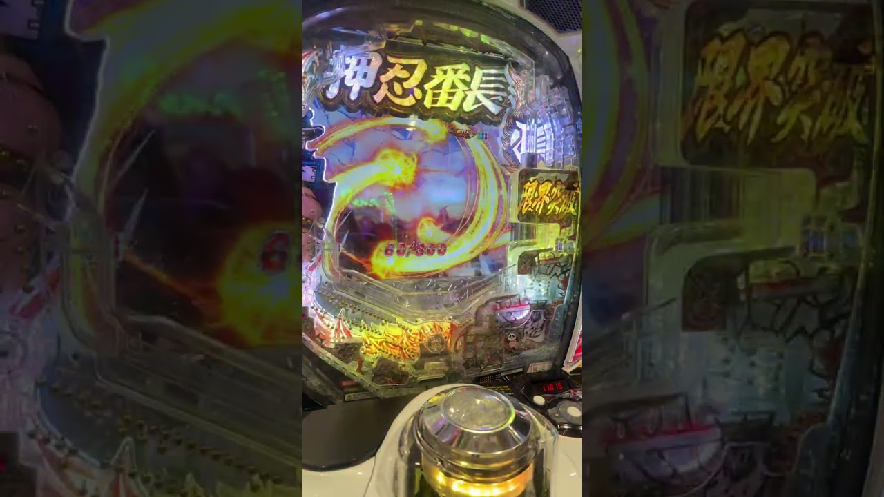 ライブ ハイライト