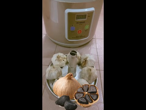 Fermenting Black Garlic 12 days - KHIND Intelligent Black Garlic Fermenter