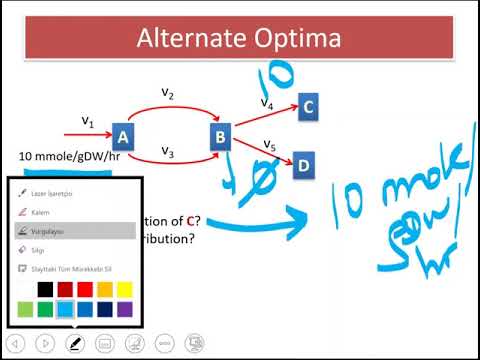 Lecture 5.1 - Alternate Optima Definition | Genome Scale Metabolic Models
