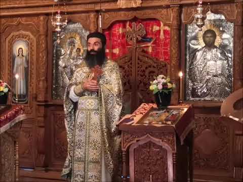 SINUCIDEREA - MOARTEA SUFERINTEI ! ??? - NICOLAE BALASOIU