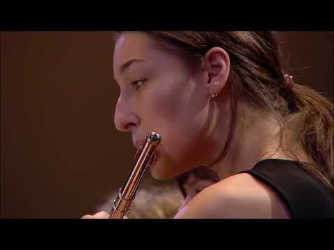 Shostakovich: Symphony No. 9 / Gergiev · Mariinsky Orchestra