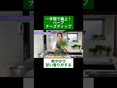 医療ビジネス薬科学科 🌿一手間で極上！ハーブチーズディップ🌿#shorts #ハーブ #体質改善 #ディル
