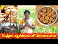 సేంద్రియ వ్యవసాయ పద్దతిలో వరిసాగు|Organic farming|Paddy cult