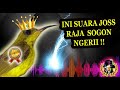 Ini Dia Masteran Sogon Full Isian Mewah