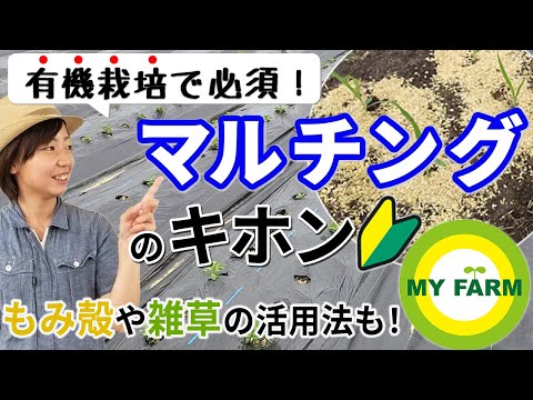 どのような種類のマルチを選択すればよいですか?さまざまなマルチの利点  庭園