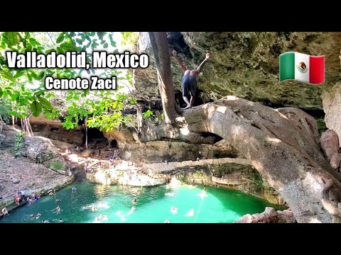 $1.50 HUGE SINKHOLE YOU CAN SWIM IN the CENTER OF THE CITY (Cenote Zaci) Valladolid, Mexico 🇲🇽
