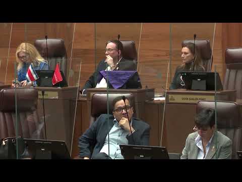 The Progressive Liberal Party, led by Eliecer Feinzag, failed to win any seats in parliament. Wha...