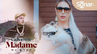 Cachorro De Madame Lyrics English Translation