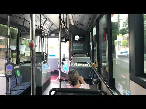 Transit Systems Sydney m/o 7096 - Scania K310UB (ZF EcoLife)