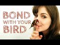 3 Easy Tips for Bonding With Your Bird | Canary & Goldfinch Taming