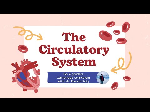 Grade 6 Unit 1 Section 1 Circulatory System. Cambridge Curriculum