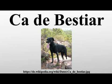 Ca de Bestiar