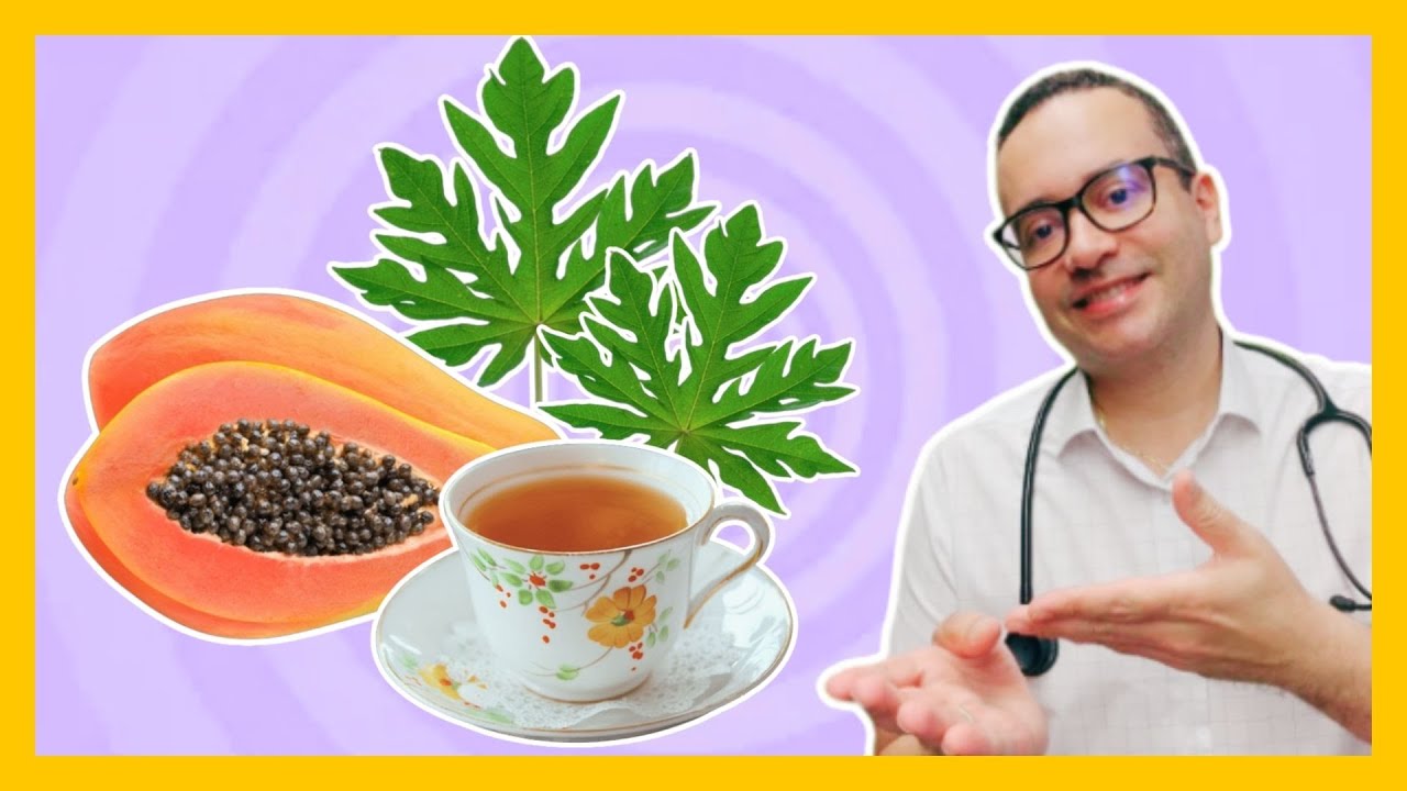 O fascinante chá de folha de mamão benefícios. Para que serve? Como preparar?