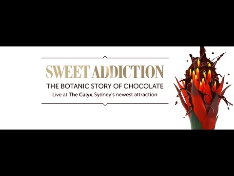 Sweet Addiction live at The Calyx