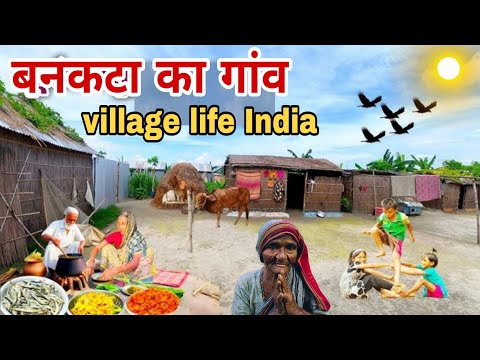 देखिए भाई बनकटा का गांव सिद्धार्थनगर bankata Ka Gaon Siddharth Nagar #villagelifeIndia 