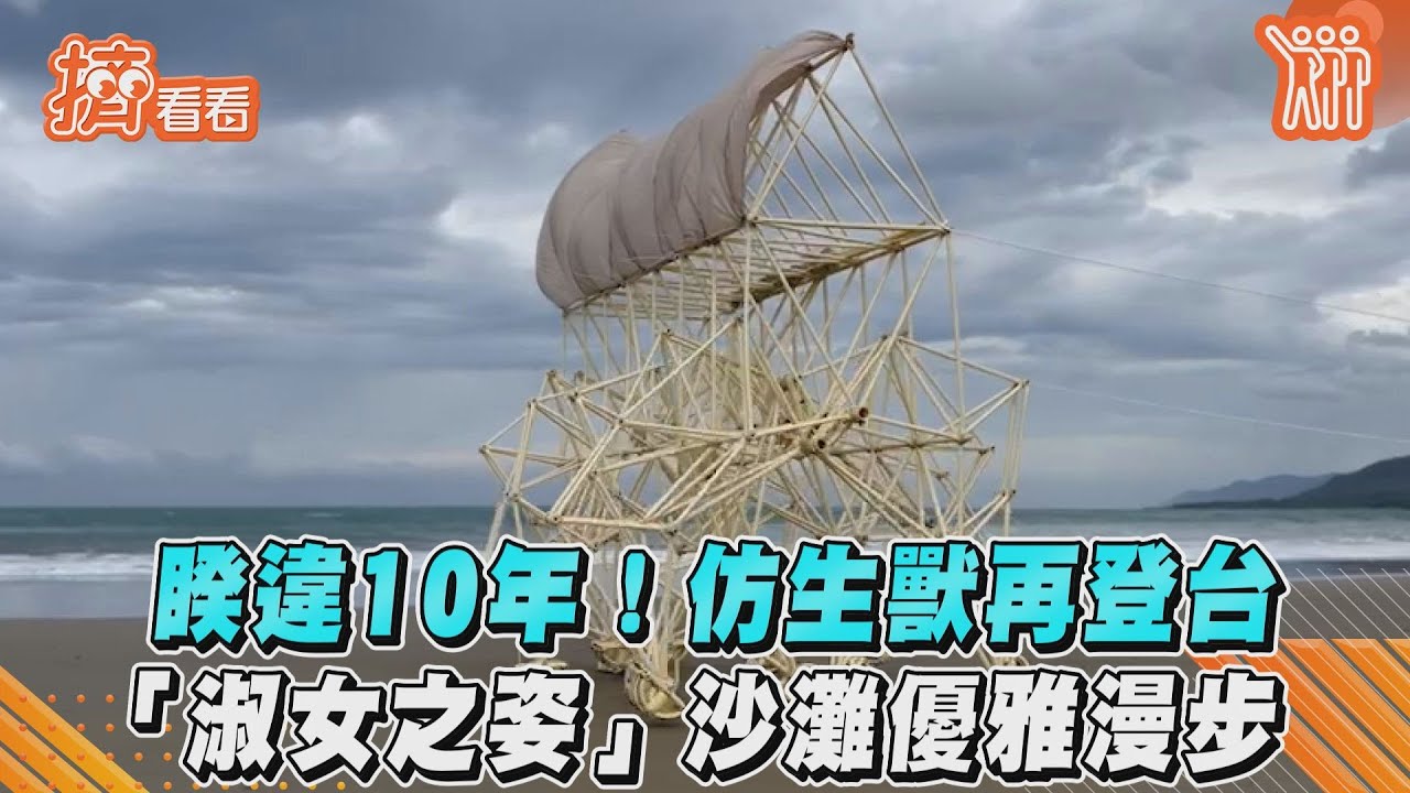 影音/睽違10年!仿生獸再登台 「淑女之姿」沙灘優雅漫步