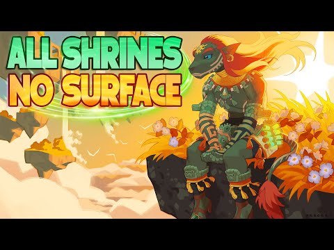 I Completed All 152 Shrines without Touching the Surface