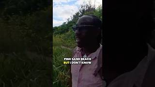 We Found a Secret Pink Beach!