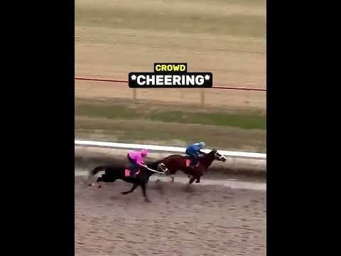 Horse Race Reveals Gender Of Child ❤️