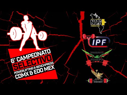 T1 D2 MATUTINO - VARONIL -93KG - SEXTO CAMPEONATO SELECTIVO CDMX 2022 FEMEPO IPF