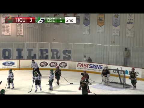 022815 05DSE vs Houston Wild 2p