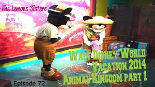 preview picture of video 'Walt Disney World Vacation 2014 | Animal Kingdom part 1 | Episode 72'