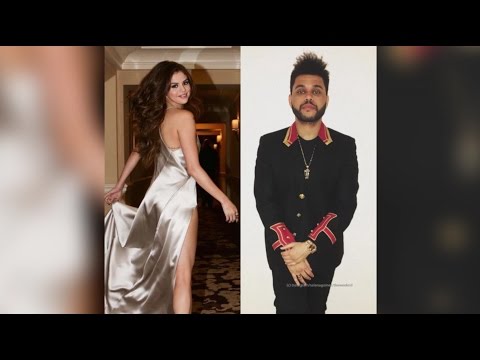 Selena Gomez Should Not Be With The Weeknd!