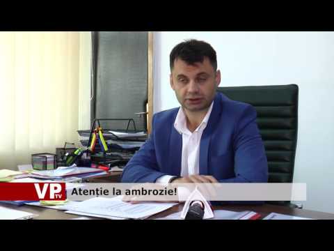Atenție la ambrozie!