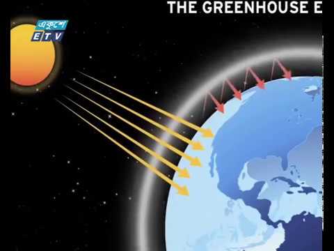 বায়ুদূষণ বন্ধে উদ্যোগ নেয়ার তাগিদ