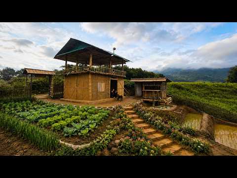 TIMELAPSE: 100 Days of Hard Work Building an Off-Grid Farm Alone by a 28-Year-Old Girl