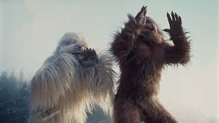 Jack Link's New Jack Link's DUOS