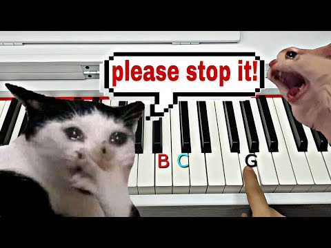 Three notes that will make even cats cry...
