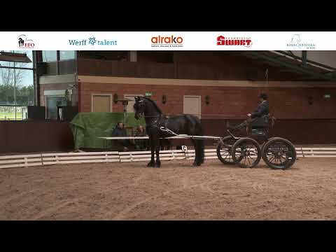 Ibop | 24 februari 2022