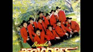 El Pecador  Banda Pecadores  Ocotlán