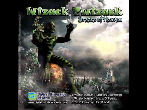 Wizack Twizack - What Are You Doing?