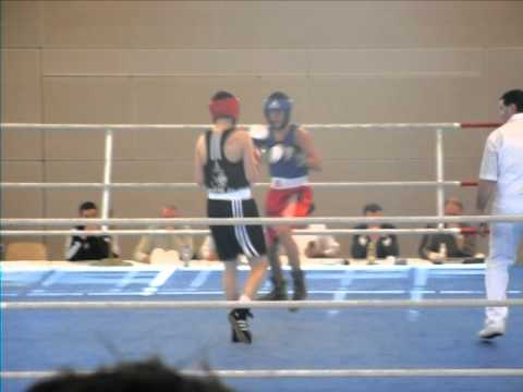 halb finale berlinermeisterschaften