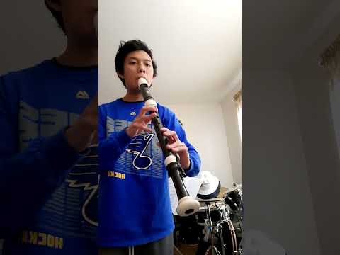 Bach - Bouree in E minor excerpt on Tenor Recorder