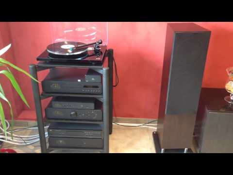 REGA PLANAR 3 2016  - NEW MODEL ARMY - Winter