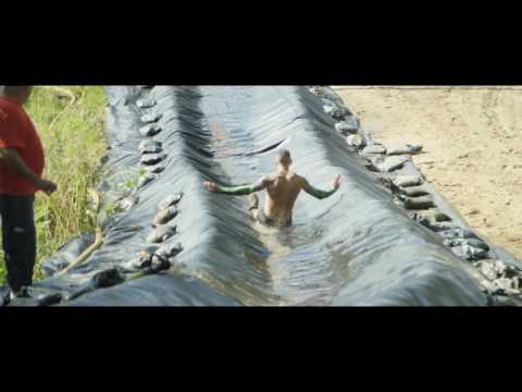 download lagu mp3 mp4 Rushwood, download lagu Rushwood gratis, unduh video klip Rushwood