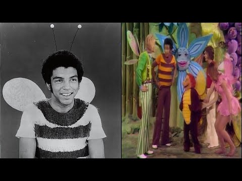 Shocking Secrets The Cast Of The Bugaloos TV Series Tried To Hide