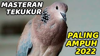 Download lagu 2 JAM TANPA IKLAN SUARA MASTERAN TEKUKUR DERKUKU GACOR KUK 2 SUARA TEBAL, KERAS, ISTIMEWAHHHHHH mp3