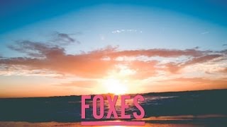 Foxes - White Coats (Xaphoon Jones In The Zone Remix)