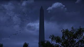 (ゲーム実況)Division2