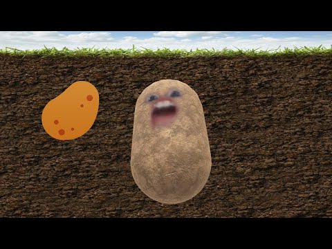 , title : 'AARDAPPEL RAP'